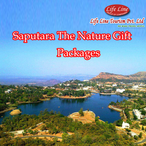 Domestic Travel Packages Domestic Travel Packages