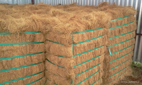 Coconut Fiber Coconut Fiber