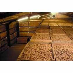 Potato Storage System Potato Storage System