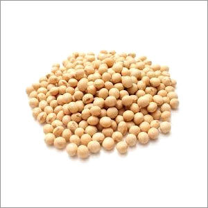 Organic Soybeans Organic Soybeans