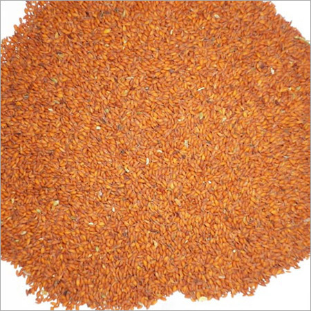 Asaliya Seeds Asaliya Seeds