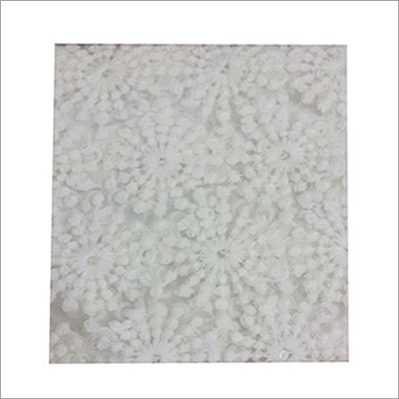 Cotton Shipli Cotton Shipli