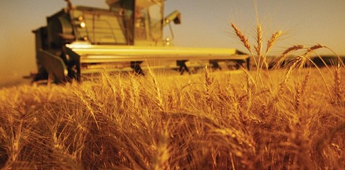 Organic Agricultural Chemicals Organic Agricultural Chemicals