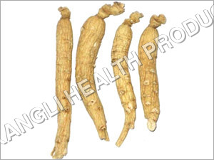 White Ginseng Root White Ginseng Root
