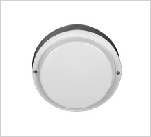 Ceiling Light Ceiling Light