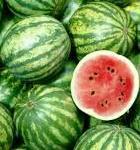 Watermelon Seeds Watermelon Seeds