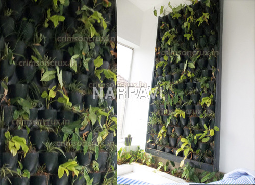 Vertical Garden Vertical Garden