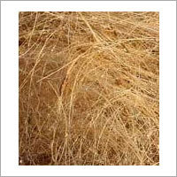 Coir Fibre Coir Fibre