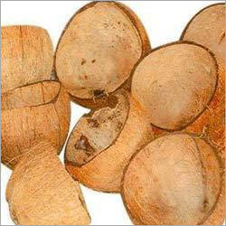 Coconut Shell Products Coconut Shell Products
