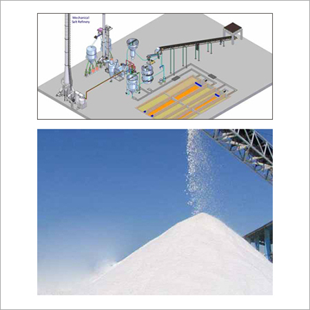 Refined Iodised Salt Processing Plant Refined Iodised Salt Processing Plant