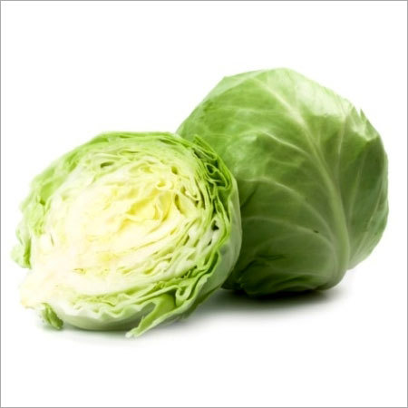 Green Cabbage Green Cabbage