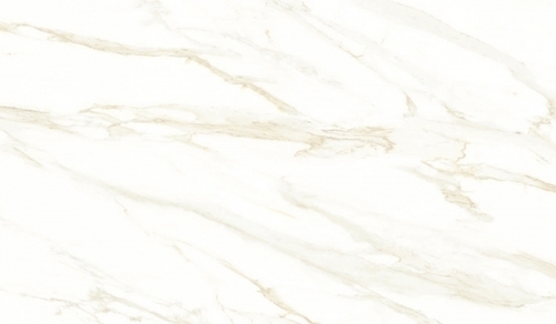 Cararra Finish Porcelain Tile Cararra Finish Porcelain Tile