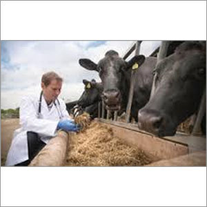 Pharma Frenchise in Meghalaya Pharma Frenchise in Meghalaya