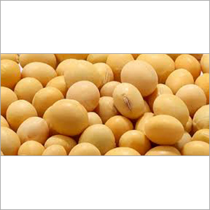 Soybean Seeds Soybean Seeds