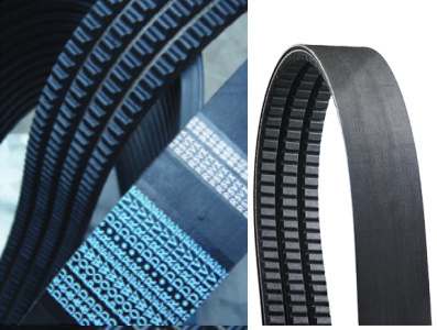 Banded Belts Banded Belts