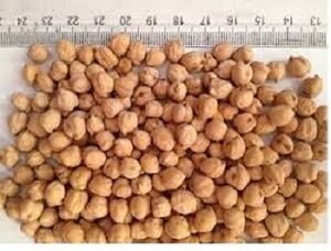 Brown Chick Peas Brown Chick Peas
