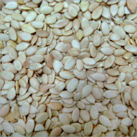 Kharbooza Seeds Kharbooza Seeds