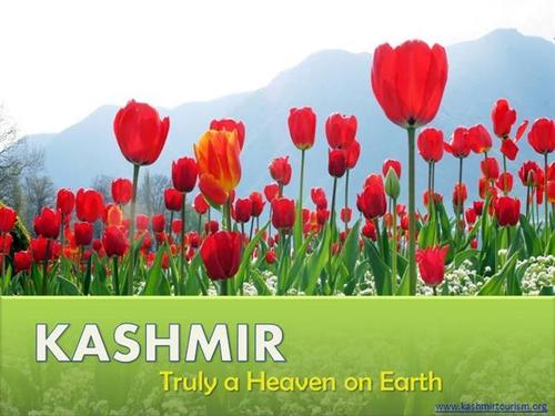 Kashmir Tour Kashmir Tour