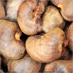 Raw Cashew Nuts Raw Cashew Nuts