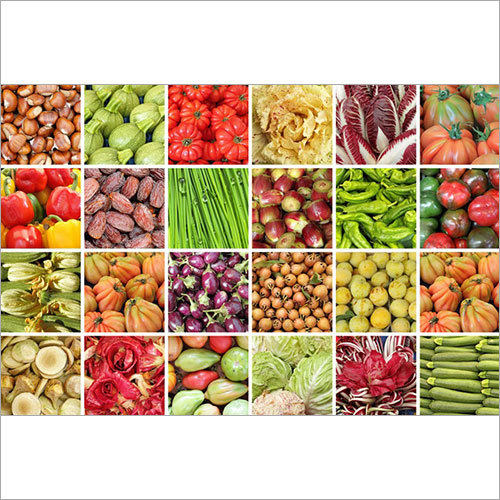 Fresh Vegetables Fresh Vegetables