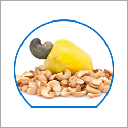 Raw Cashew Nuts Raw Cashew Nuts