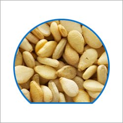 Sesame Seeds Sesame Seeds