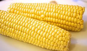 Yellow Corn Yellow Corn