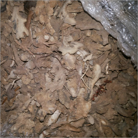 Dried Ginger Dried Ginger