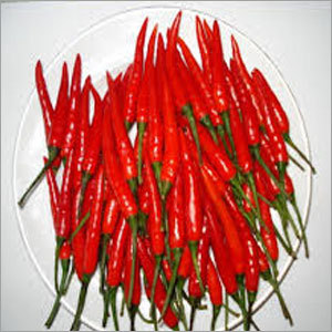 Fresh African Chili Pepper Fresh African Chili Pepper