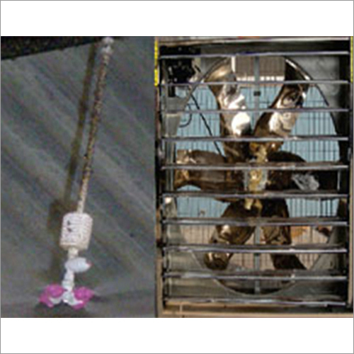 Dairy Farms Ventilation System Dairy Farms Ventilation System