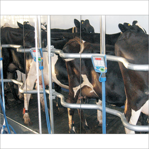 Herringbone Milking Systems Herringbone Milking Systems