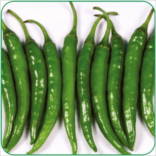 Green Chillies Green Chillies