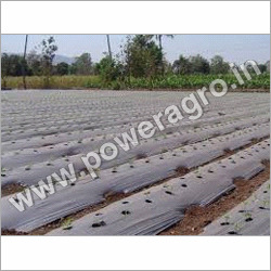 Agriculture Packaging Films Agriculture Packaging Films