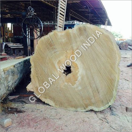 Yellow Meranti Log Yellow Meranti Log