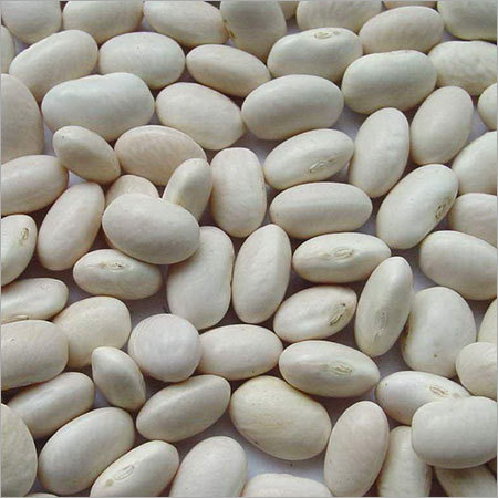 White Kidney Beans White Kidney Beans