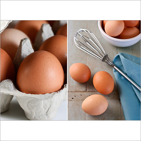 Table Eggs Table Eggs