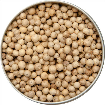 White Pepper White Pepper