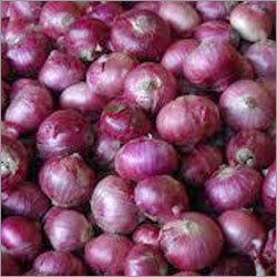 Farm Fresh Onions Farm Fresh Onions