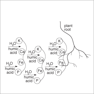 Liquid Potassium Humate Liquid Potassium Humate
