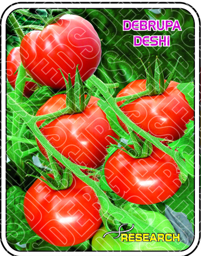 DEBRUPA DESHI DEBRUPA DESHI