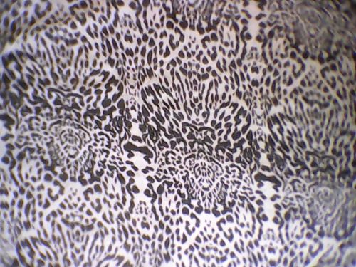 Polyester Chiffon Fabrics Polyester Chiffon Fabrics