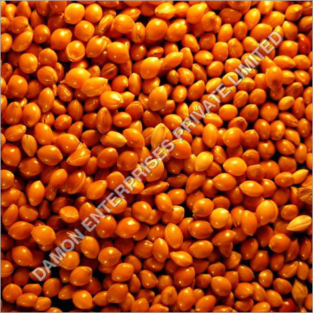 Red Millet Red Millet