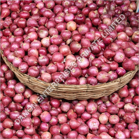Onion Onion