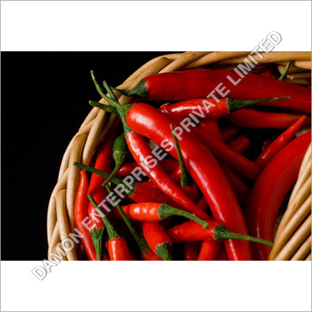 Fresh Red Chilli Fresh Red Chilli