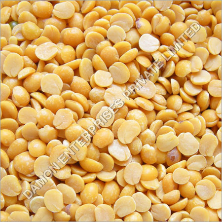 Pigeon Pea Pigeon Pea