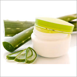 Aloe Vera Aloe Vera