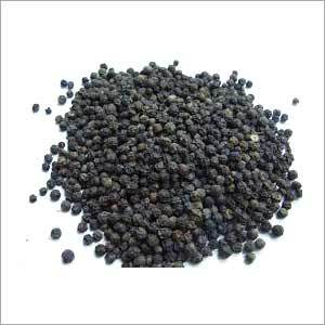 Black Pepper Seed Black Pepper Seed