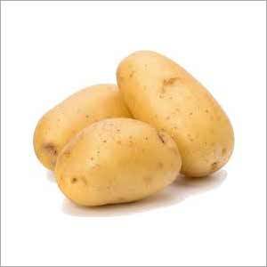 Fresh Potato Fresh Potato