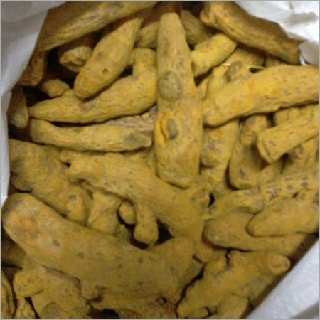 Dried Turmeric Finger Dried Turmeric Finger