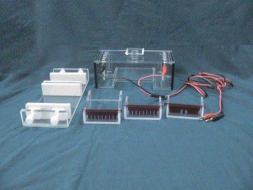 MINI Electrophoresis Systems MINI Electrophoresis Systems